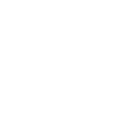 Icon E-Ladestation